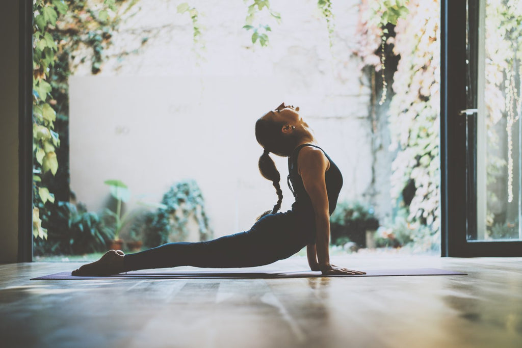 Yogi Guide: Breaking Down Yoga Trends